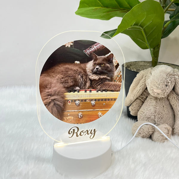 Acrylic LED Night Lamp - Mighty Paws