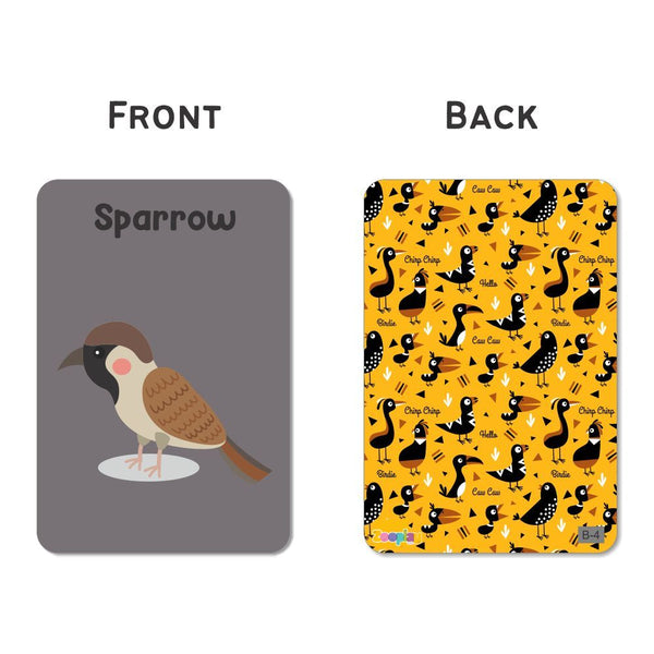 Birds Flash Cards for Kids