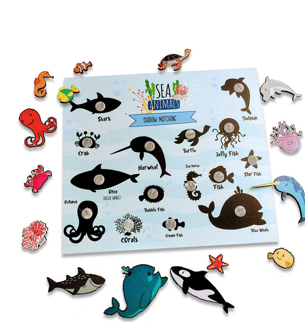 Sea Animal Shadow Matching Activity