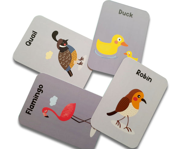 Birds Flash Cards