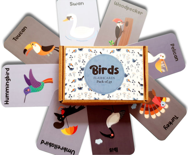 Birds Flash Cards