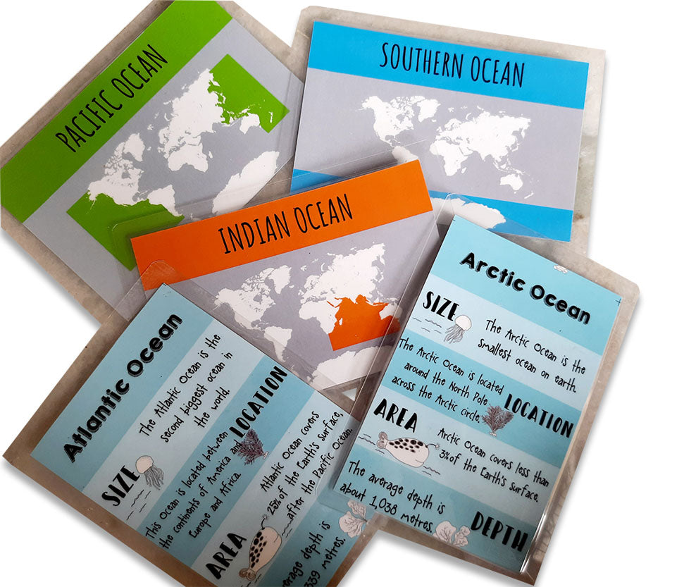 World Continent and Ocean Flash Cards