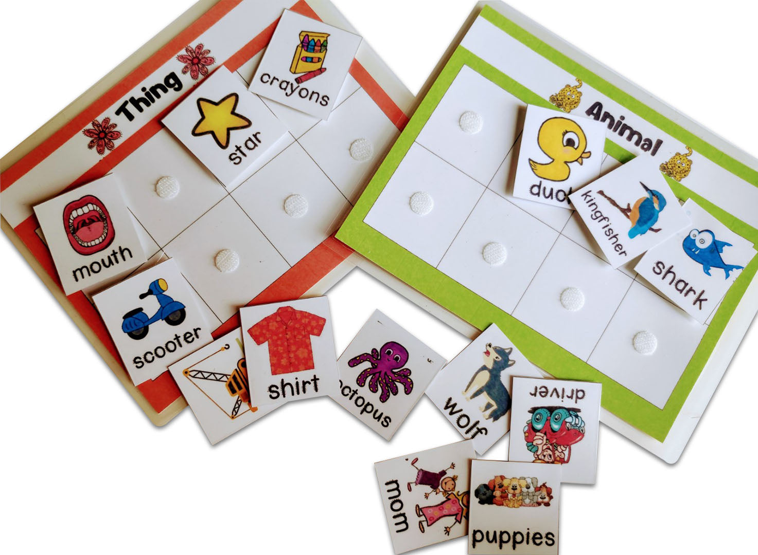 Noun- Name, Place, Animal & Thing Sorting Activity